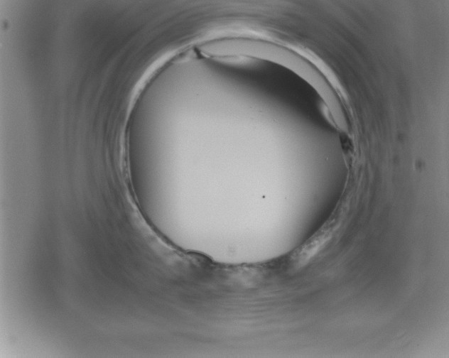 X0000079340815200612151906