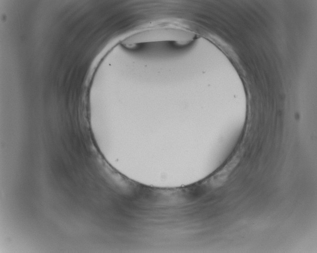 X0000079340816200612151906