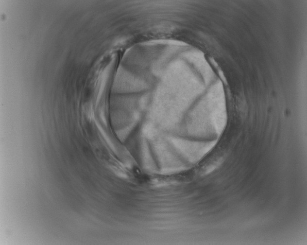 X0000079340818200612151905