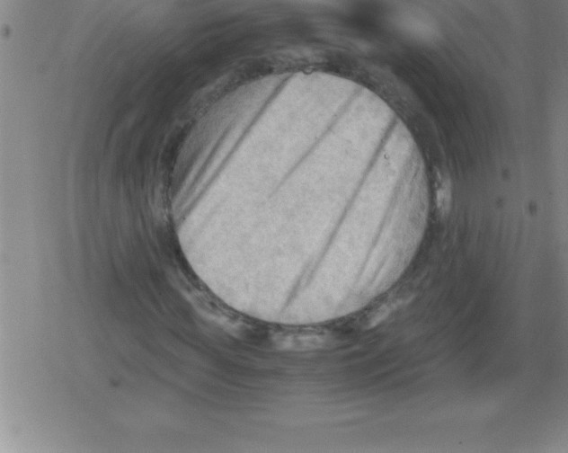 X0000079340819200612151905