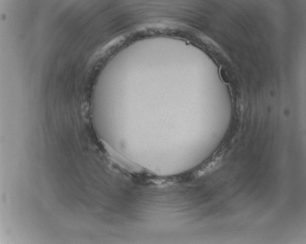 X0000079340822200612151905