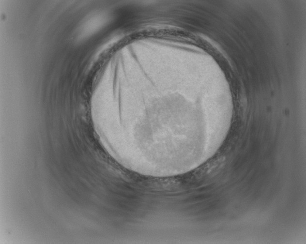 X0000079340823200612151905