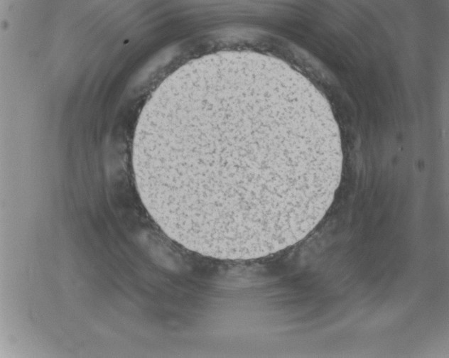 X0000079340824200612151905