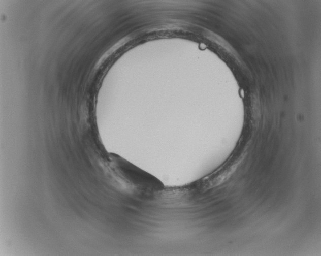 X0000079340826200612151905