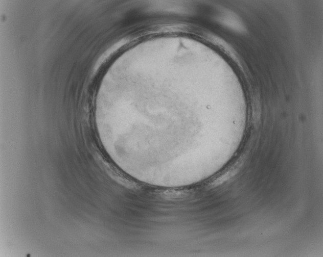 X0000079340827200612151905