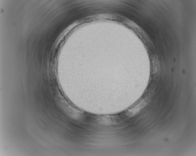 X0000079340828200612151905