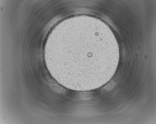 X0000079340832200612151905