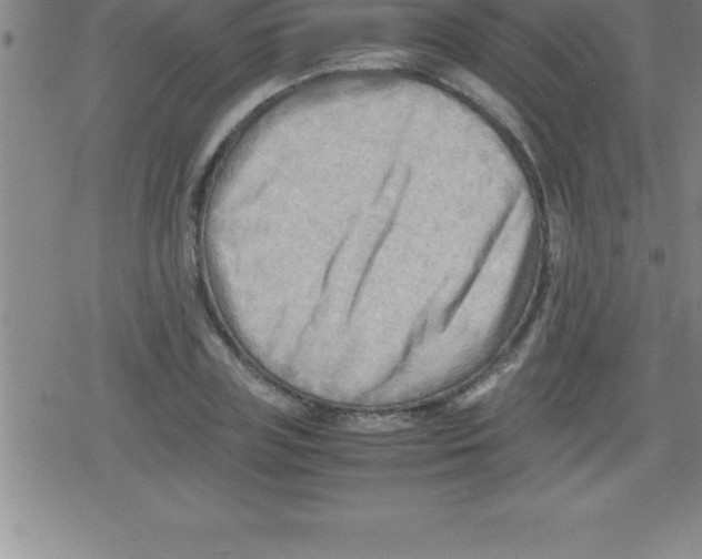 X0000079340835200612151906