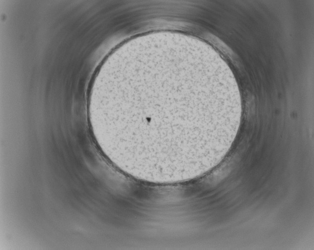 X0000079340836200612151906