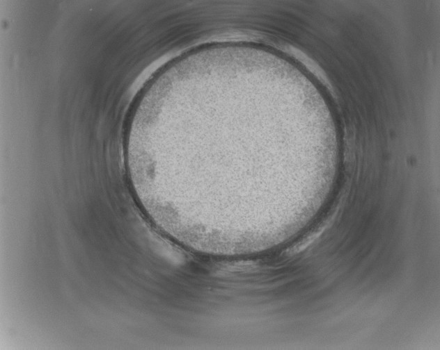 X0000079340837200612151906