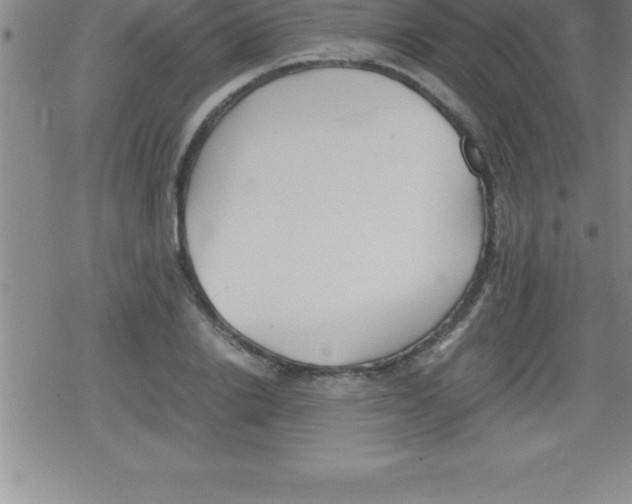 X0000079340838200612151906