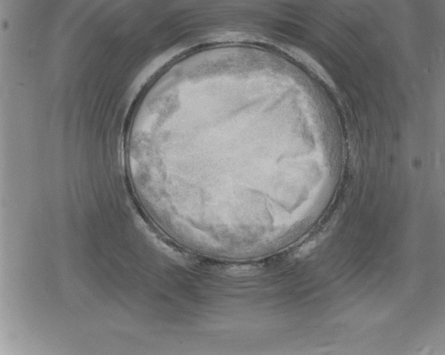 X0000079340839200612151906