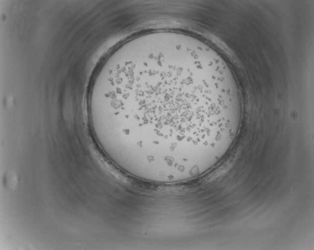 X0000079340840200612151906