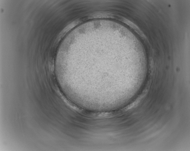 X0000079340841200612151906