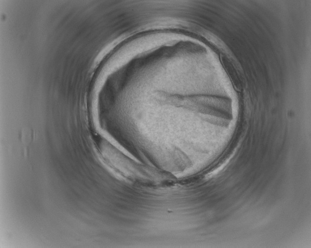 X0000079340842200612151906