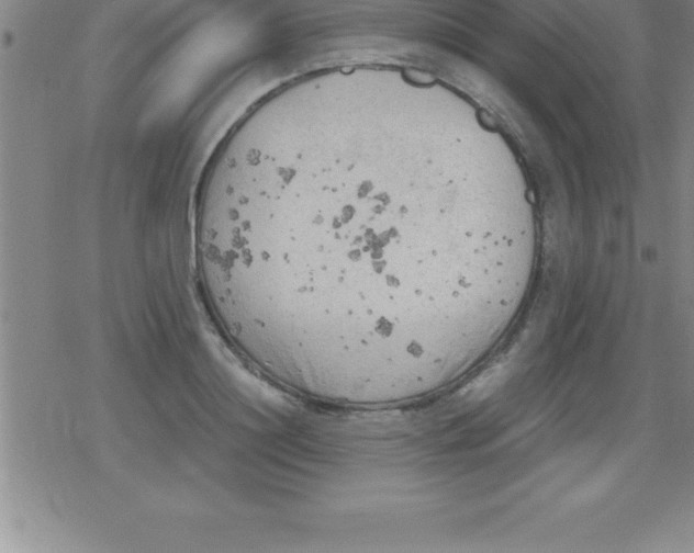 X0000079340844200612151906