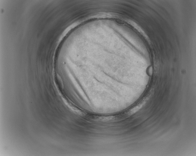 X0000079340845200612151906