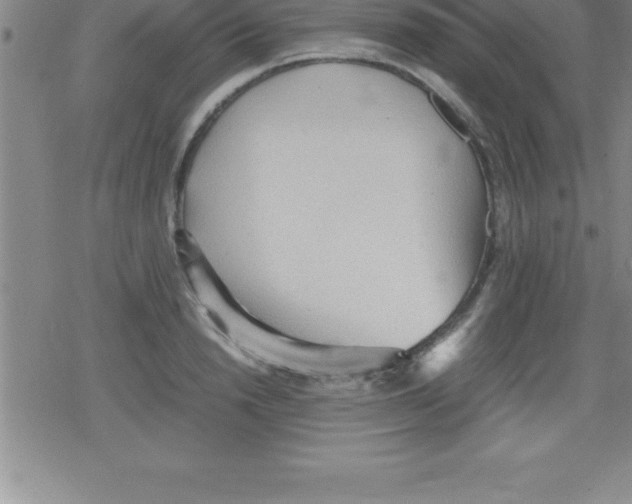 X0000079340846200612151906