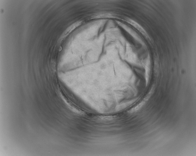 X0000079340849200612151906