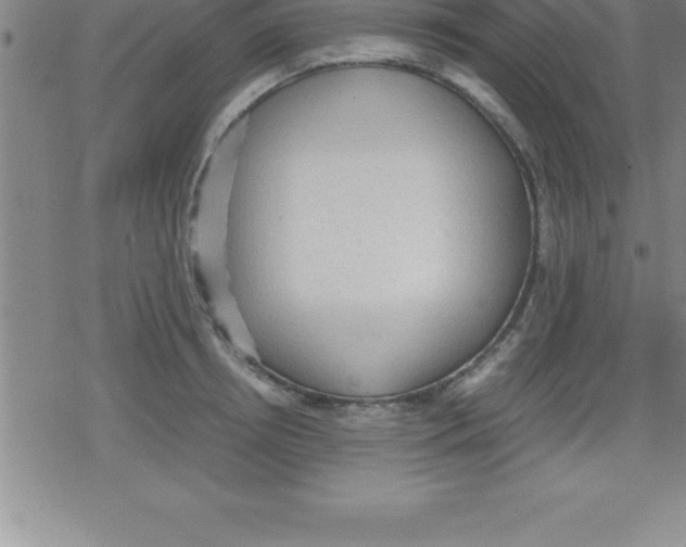 X0000079340850200612151906