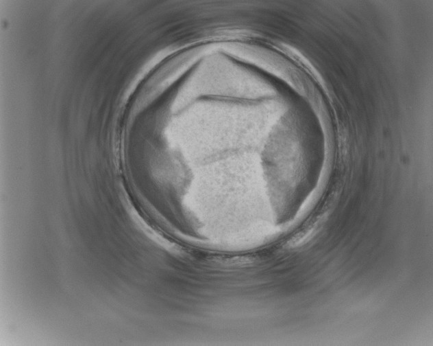 X0000079340851200612151906