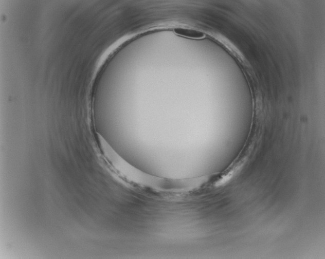 X0000079340854200612151906