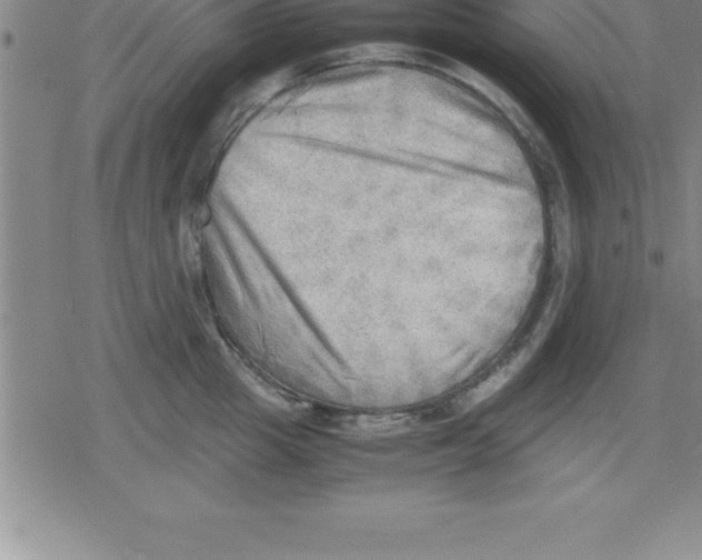 X0000079340857200612151906