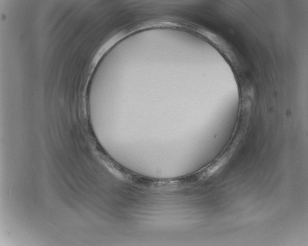 X0000079340858200612151906