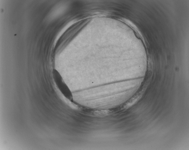 X0000079340859200612151906