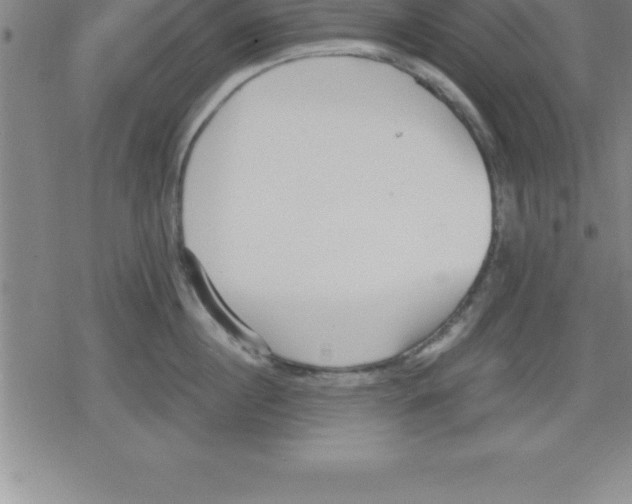 X0000079340860200612151906