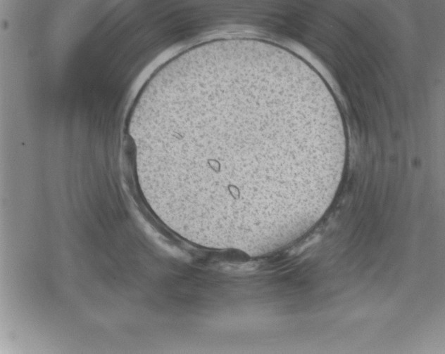 X0000079340861200612151906