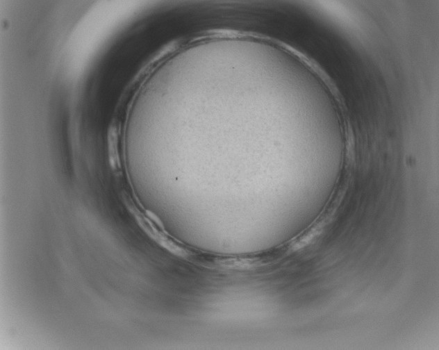 X0000079340862200612151906