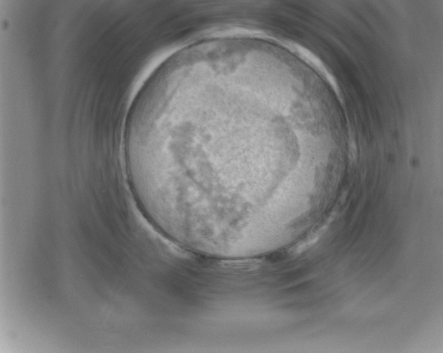 X0000079340863200612151906