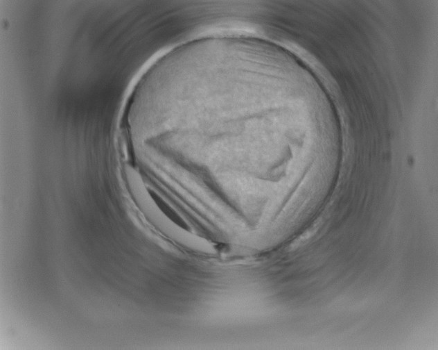 X0000079340864200612151906