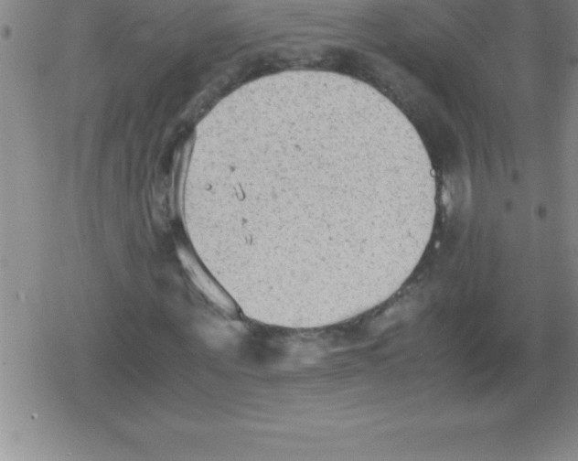 X0000079340867200612151905