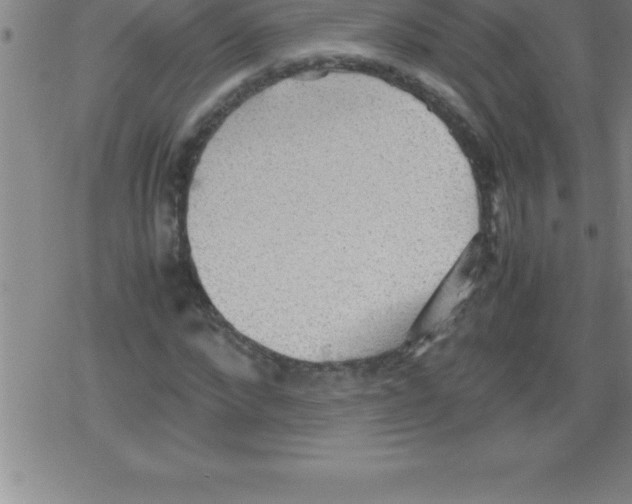 X0000079340872200612151905