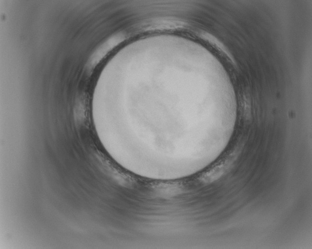 X0000079340874200612151905