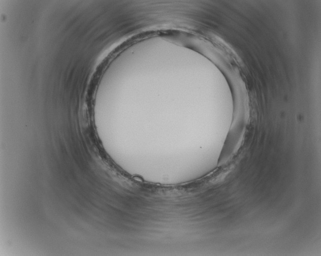 X0000079340876200612151905