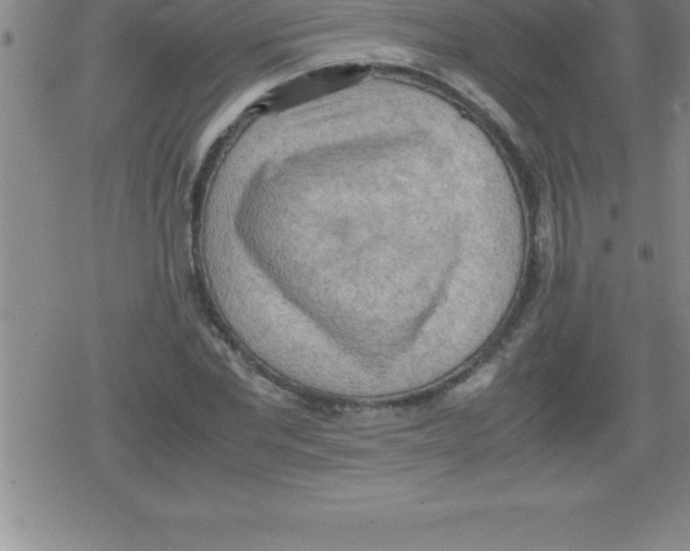 X0000079340877200612151905