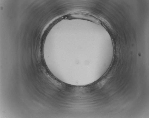 X0000079340880200612151905