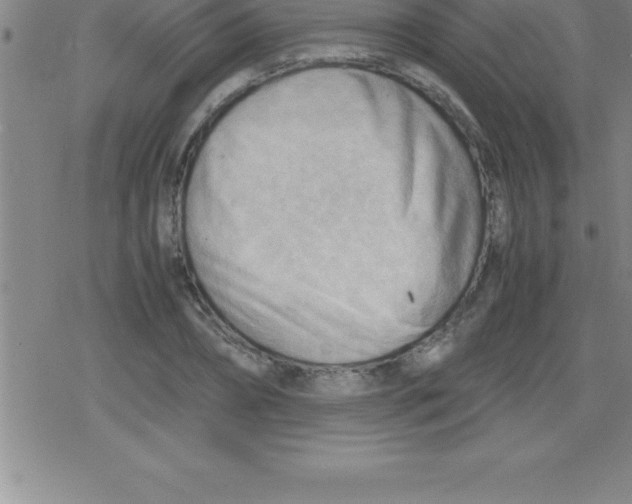 X0000079340882200612151905