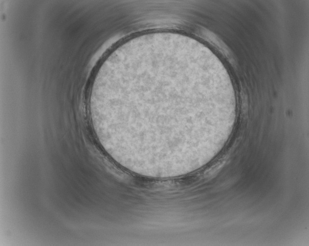 X0000079340883200612151905