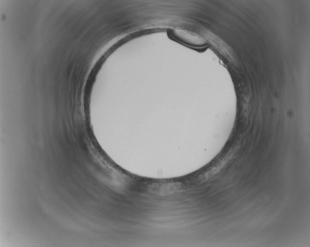 X0000079340884200612151905