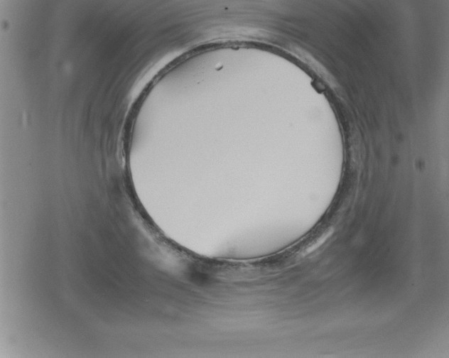 X0000079340885200612151905