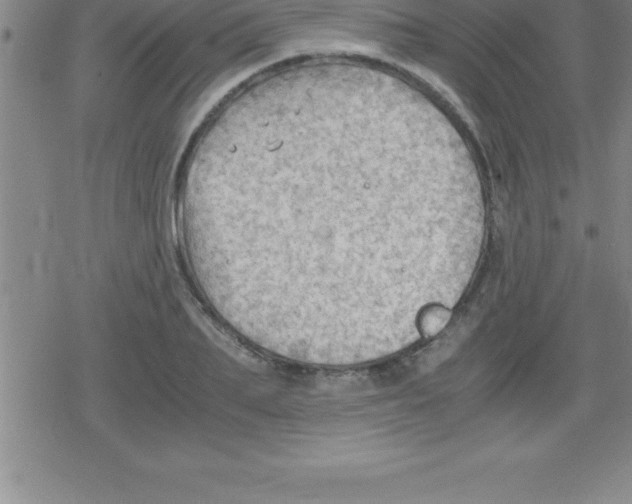 X0000079340887200612151905