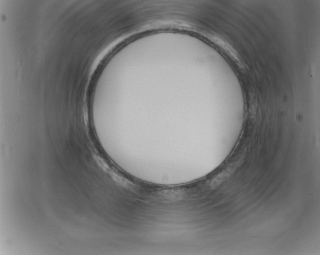 X0000079340888200612151905