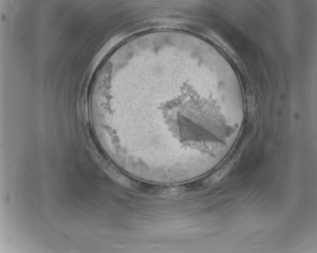 X0000079340891200612151905