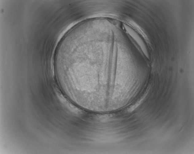 X0000079340892200612151905