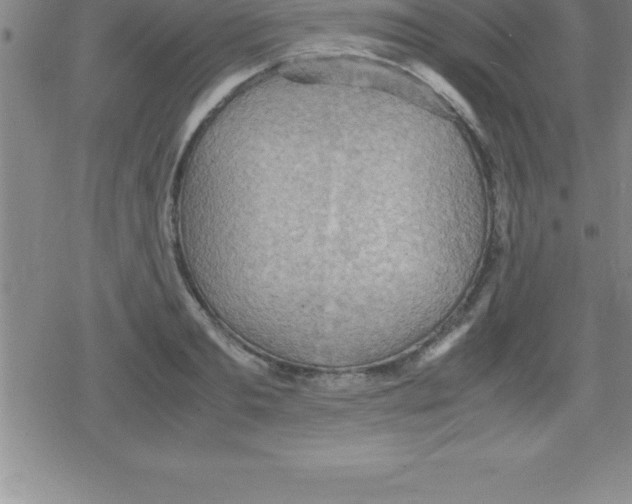 X0000079340893200612151905