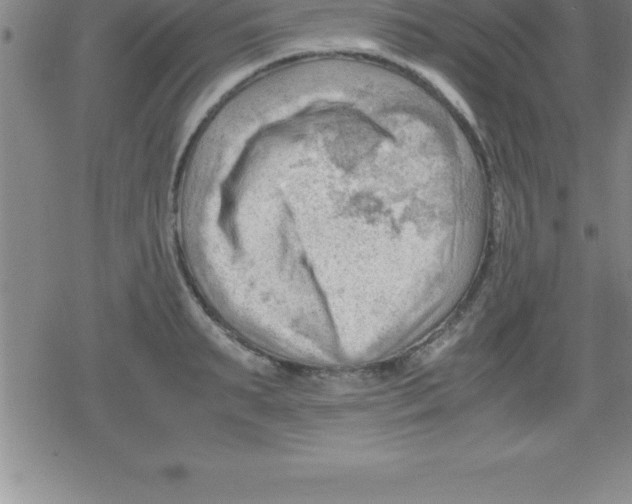 X0000079340895200612151905